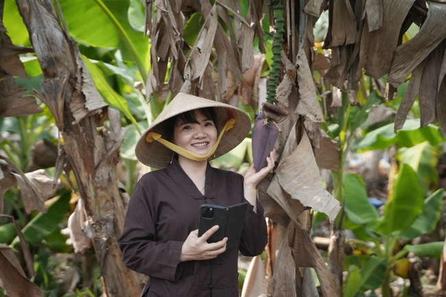 Chư Tăng và công quả nội tự chùa Hoằng Pháp cùng thu hoạch chuối cúng dường (Đồng Nai).