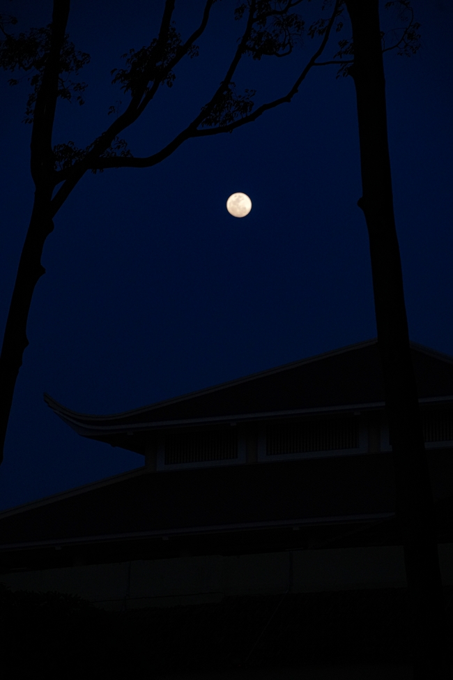 LỄ SÁM HỐI (14/03 BÍNH NGỌ) - CHÙA HOẰNG PHÁP.