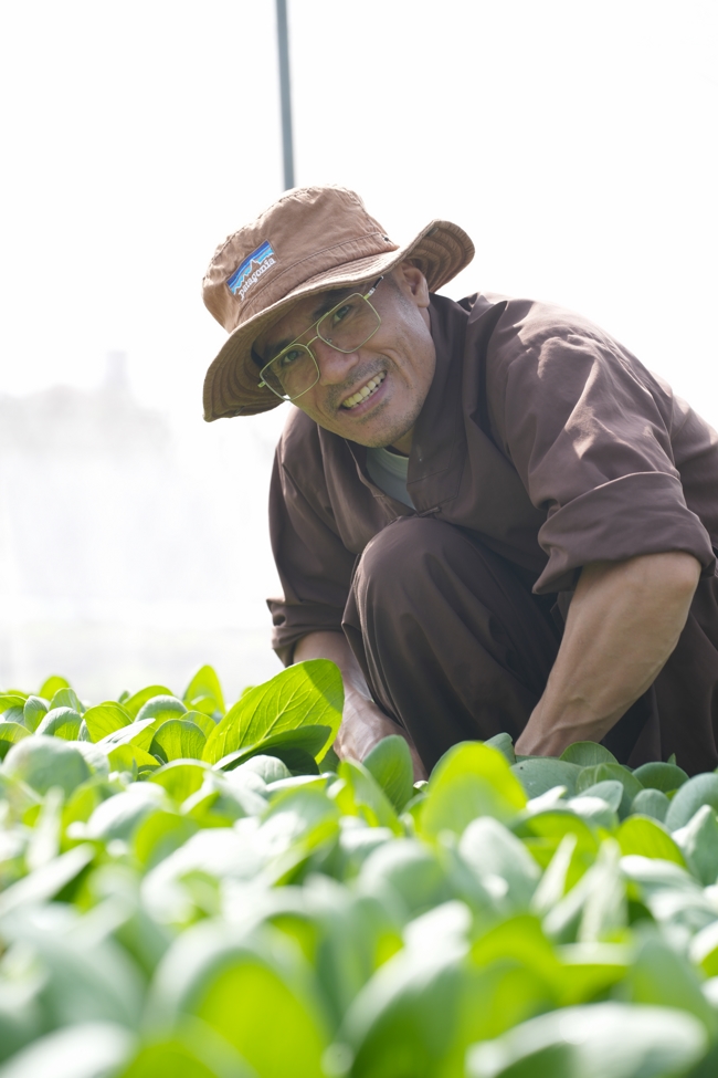 Chư tăng và công quả nội tự cùng thu hoạch rau cúng dường.