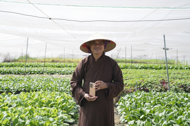 Chư tăng và công quả nội tự cùng thu hoạch rau cúng dường.