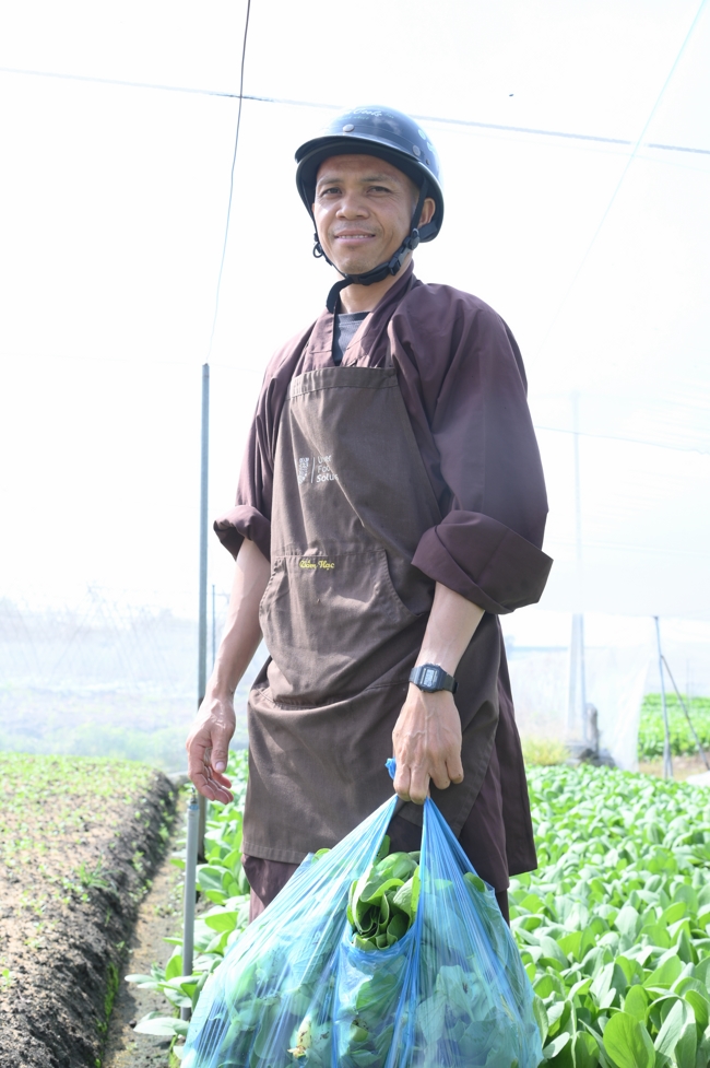 Chư tăng và công quả nội tự cùng thu hoạch rau cúng dường.