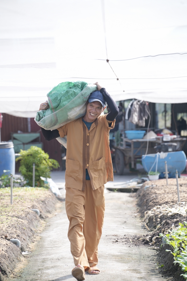 Chư tăng và công quả nội tự cùng thu hoạch rau cúng dường.