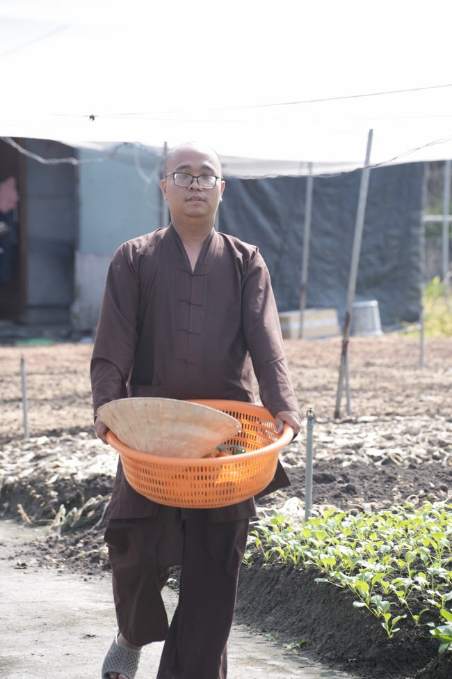 Chư tăng và công quả nội tự cùng thu hoạch rau cúng dường.