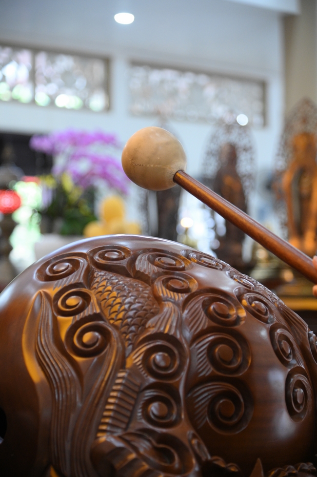 Freeing of creatures at Nhi Binh ferry (Hoc Mon)