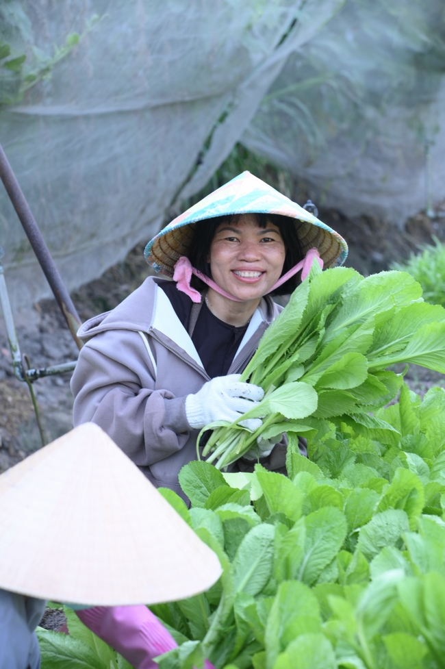 Chư Tăng và công quả nội tự chùa Hoằng Pháp tiếp tục chuyến đi thu hoạch rau cúng dường (Bình Dương).