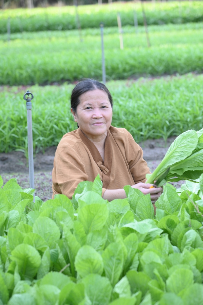 Chư Tăng và công quả nội tự chùa Hoằng Pháp tiếp tục chuyến đi thu hoạch rau cúng dường (Bình Dương).