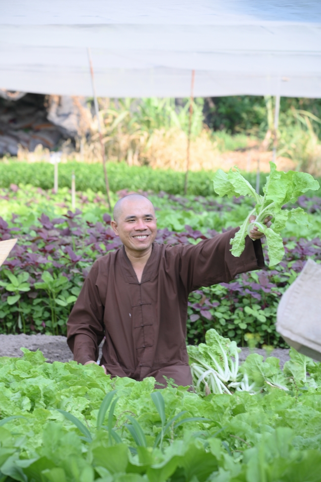 Chư Tăng và công quả nội tự chùa Hoằng Pháp tiếp tục chuyến đi thu hoạch rau cúng dường (Bình Dương).