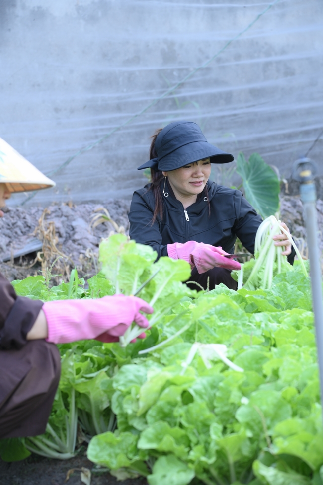 Chư Tăng và công quả nội tự chùa Hoằng Pháp tiếp tục chuyến đi thu hoạch rau cúng dường (Bình Dương).