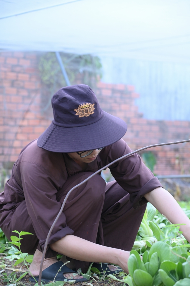 Chư Tăng và công quả nội tự chùa Hoằng Pháp tiếp tục chuyến đi thu hoạch rau cúng dường (Bình Dương).