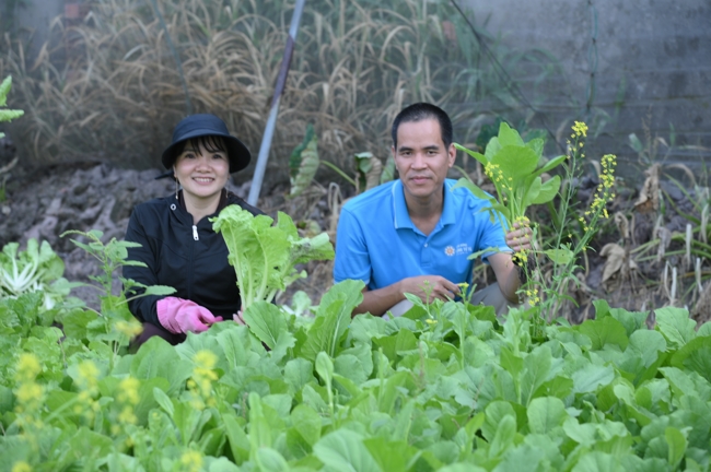 Chư Tăng và công quả nội tự chùa Hoằng Pháp tiếp tục chuyến đi thu hoạch rau cúng dường (Bình Dương).