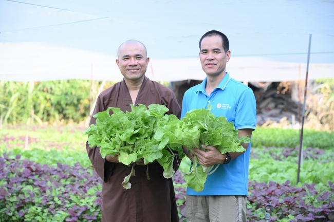 Chư Tăng và công quả nội tự chùa Hoằng Pháp tiếp tục chuyến đi thu hoạch rau cúng dường (Bình Dương).