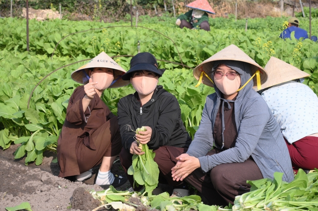 Chư Tăng và công quả nội tự chùa Hoằng Pháp tiếp tục chuyến đi thu hoạch rau cúng dường (Bình Dương).