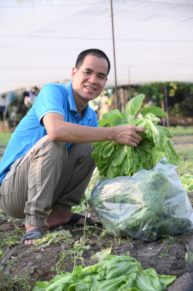 Chư Tăng và công quả nội tự chùa Hoằng Pháp tiếp tục chuyến đi thu hoạch rau cúng dường (Bình Dương).