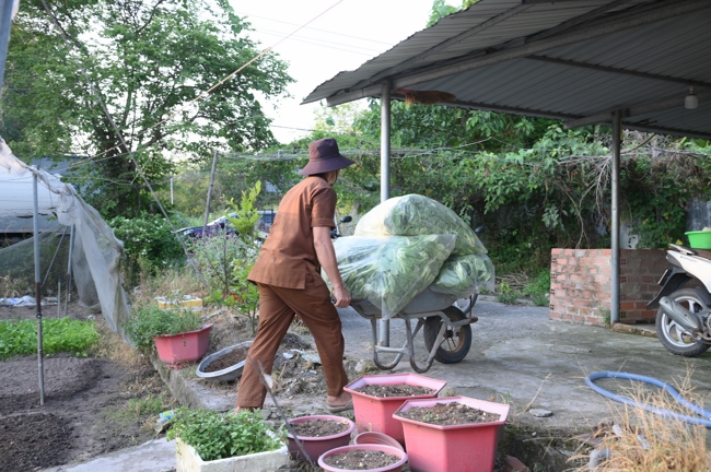 Chư Tăng và công quả nội tự chùa Hoằng Pháp tiếp tục chuyến đi thu hoạch rau cúng dường (Bình Dương).