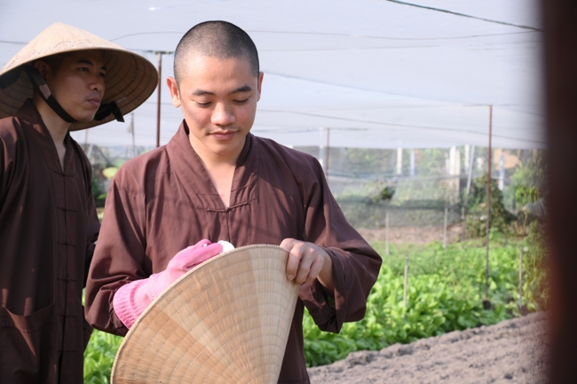 Chư Tăng và công quả nội tự chùa Hoằng Pháp tiếp tục chuyến đi thu hoạch rau cúng dường (Bình Dương).