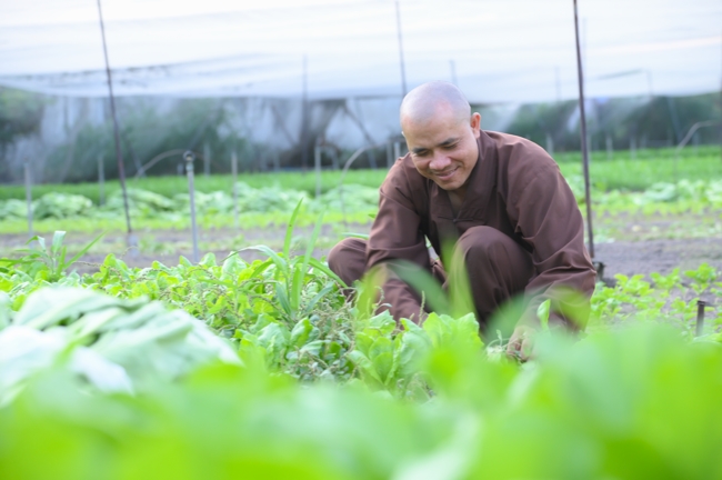 Chư Tăng và công quả nội tự chùa Hoằng Pháp tiếp tục chuyến đi thu hoạch rau cúng dường (Bình Dương).