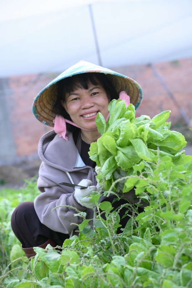 Chư Tăng và công quả nội tự chùa Hoằng Pháp tiếp tục chuyến đi thu hoạch rau cúng dường (Bình Dương).