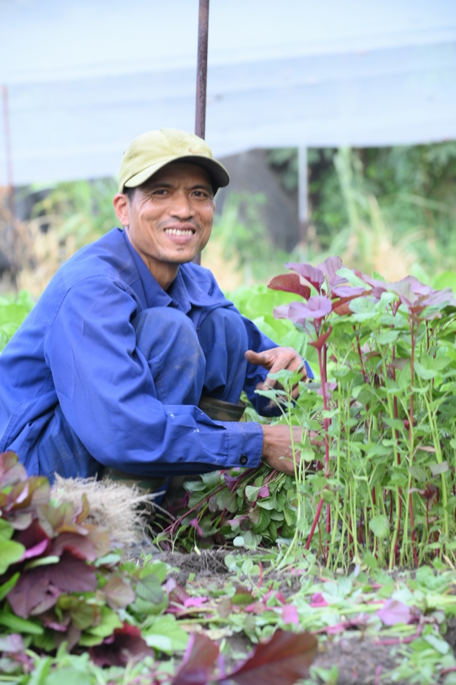 Chư Tăng và công quả nội tự chùa Hoằng Pháp tiếp tục chuyến đi thu hoạch rau cúng dường (Bình Dương).