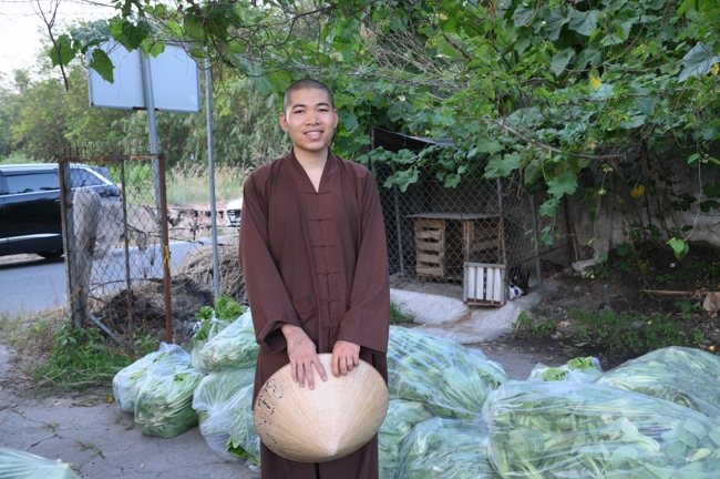 Chư Tăng và công quả nội tự chùa Hoằng Pháp tiếp tục chuyến đi thu hoạch rau cúng dường (Bình Dương).