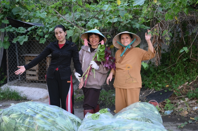 Chư Tăng và công quả nội tự chùa Hoằng Pháp tiếp tục chuyến đi thu hoạch rau cúng dường (Bình Dương).