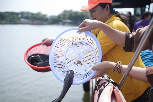 Phóng sinh tại bến phà Bình Mỹ.