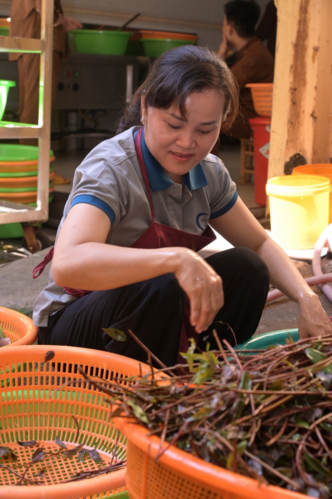 Pháp thoại “Giải thoát trong từng bước đi” - TT.Thích Viên Trí | Khóa Tu Phật Thất 108.