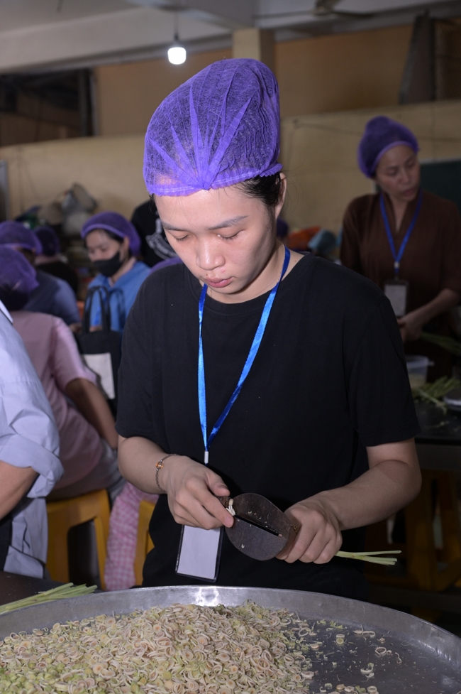 Pháp thoại “Giải thoát trong từng bước đi” - TT.Thích Viên Trí | Khóa Tu Phật Thất 108.