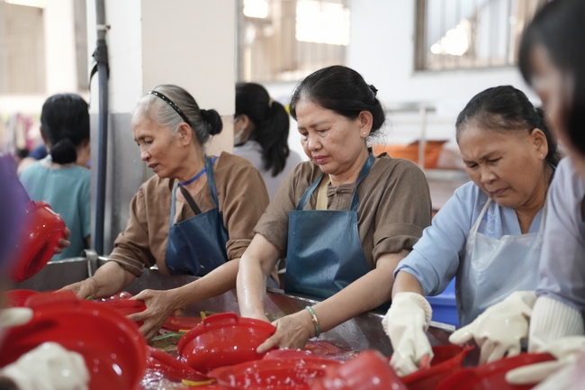 Pháp thoại “Giải thoát trong từng bước đi” - TT.Thích Viên Trí | Khóa Tu Phật Thất 108.