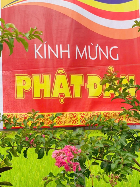 Chùa Đống Cao (Thanh Hóa): Cộng tu niệm Phật Một Ngày.