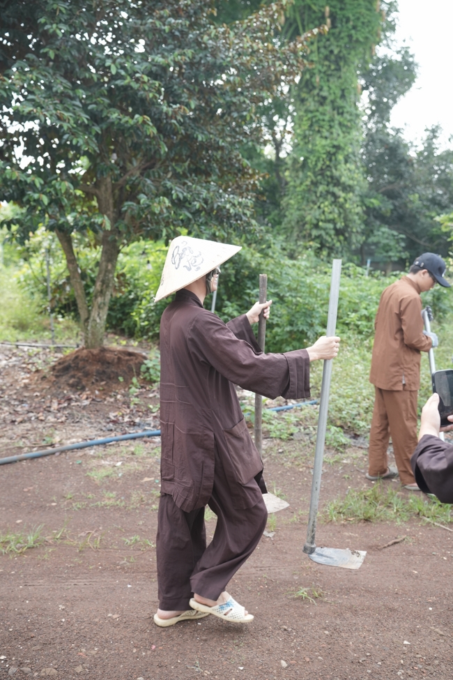 Chư Tăng và Phật tử công quả nội tự thu hoạch củ sắn chuẩn bị cho ba ngày đãi bánh xèo nhân mùa Đại lễ Phật đản Vesak 2026.
