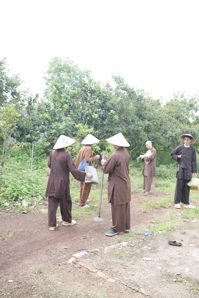 Chư Tăng và Phật tử công quả nội tự thu hoạch củ sắn chuẩn bị cho ba ngày đãi bánh xèo nhân mùa Đại lễ Phật đản Vesak 2026.