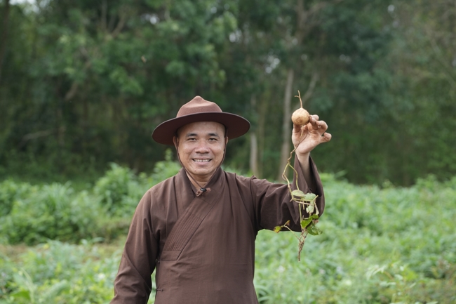Chư Tăng và Phật tử công quả nội tự thu hoạch củ sắn chuẩn bị cho ba ngày đãi bánh xèo nhân mùa Đại lễ Phật đản Vesak 2026.