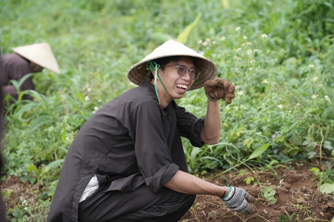Chư Tăng và Phật tử công quả nội tự thu hoạch củ sắn chuẩn bị cho ba ngày đãi bánh xèo nhân mùa Đại lễ Phật đản Vesak 2026.