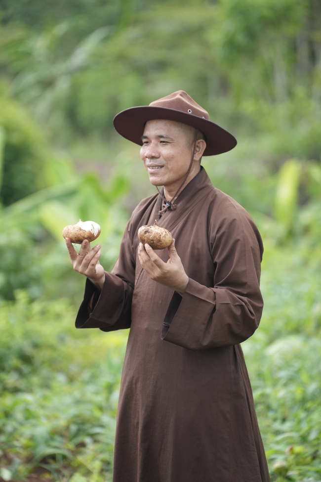 Chư Tăng và Phật tử công quả nội tự thu hoạch củ sắn chuẩn bị cho ba ngày đãi bánh xèo nhân mùa Đại lễ Phật đản Vesak 2026.