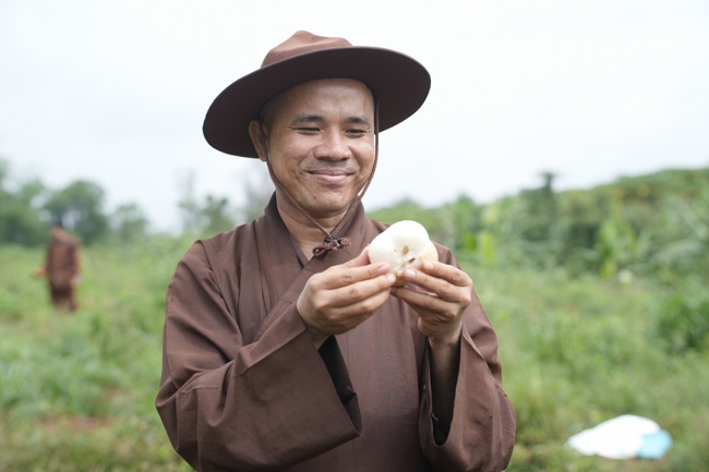 Chư Tăng và Phật tử công quả nội tự thu hoạch củ sắn chuẩn bị cho ba ngày đãi bánh xèo nhân mùa Đại lễ Phật đản Vesak 2026.
