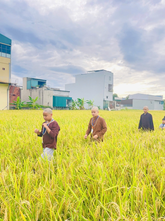 Ngày tu học thứ tư trong Khóa tu mùa hè tại Chùa Đống Cao (Thanh Hóa).