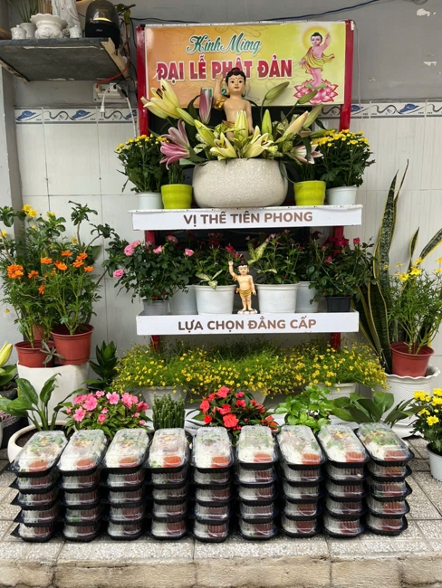 Visiting and awarding prizes for the setting up a Lumbini Garden | Hoằng Pháp pagoda