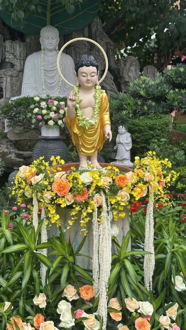 Visiting and awarding prizes for the setting up a Lumbini Garden | Hoằng Pháp pagoda