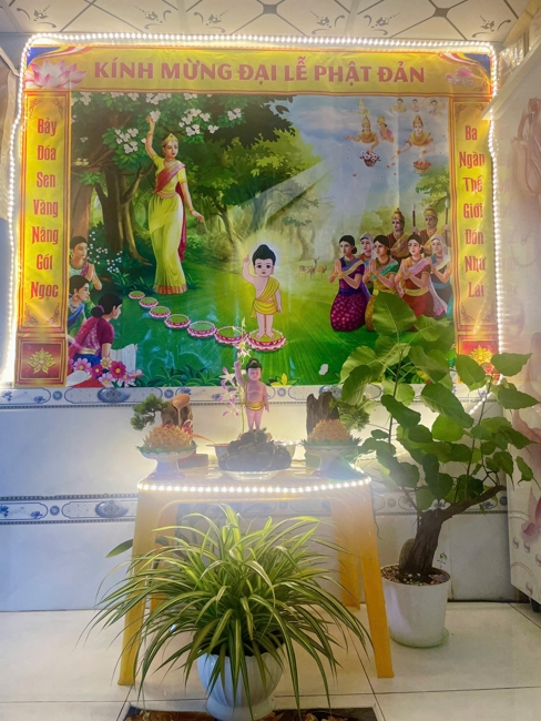 Visiting and awarding prizes for the setting up a Lumbini Garden | Hoằng Pháp pagoda