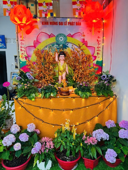 Visiting and awarding prizes for the setting up a Lumbini Garden | Hoằng Pháp pagoda