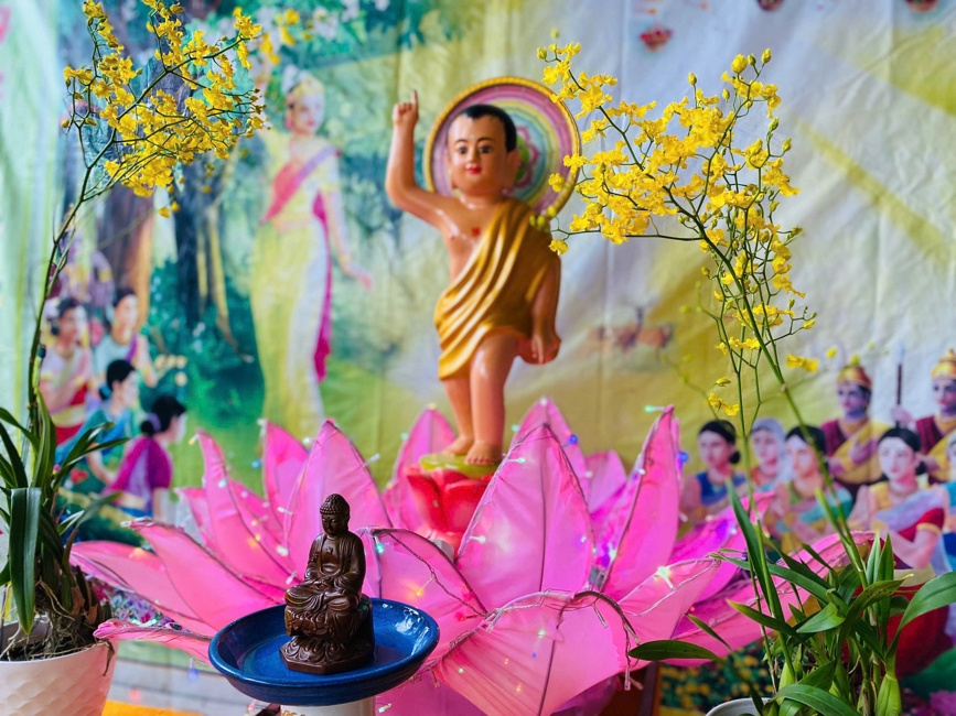 Visiting and awarding prizes for the setting up a Lumbini Garden | Hoằng Pháp pagoda