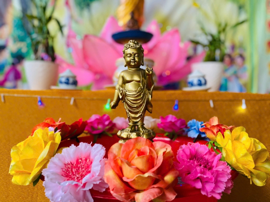 Visiting and awarding prizes for the setting up a Lumbini Garden | Hoằng Pháp pagoda
