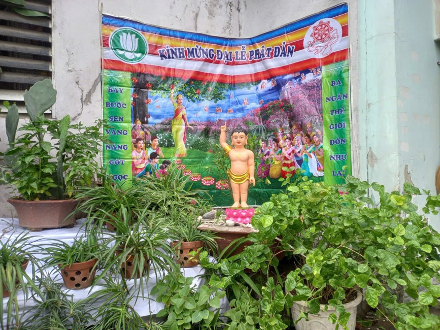 Visiting and awarding prizes for the setting up a Lumbini Garden | Hoằng Pháp pagoda