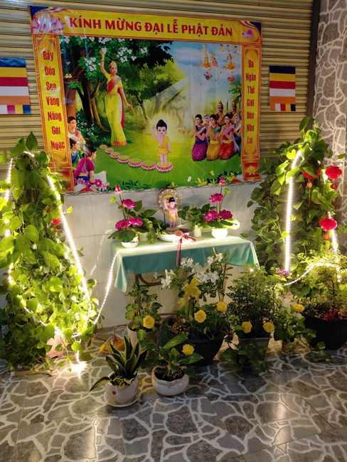 Visiting and awarding prizes for the setting up a Lumbini Garden | Hoằng Pháp pagoda