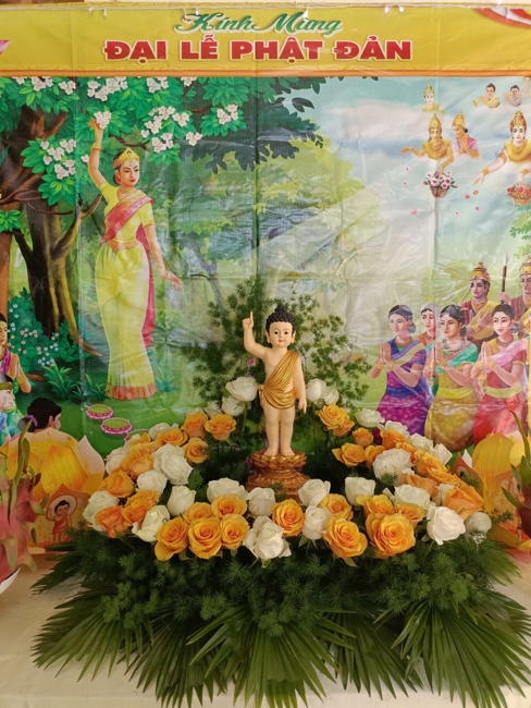 Visiting and awarding prizes for the setting up a Lumbini Garden | Hoằng Pháp pagoda