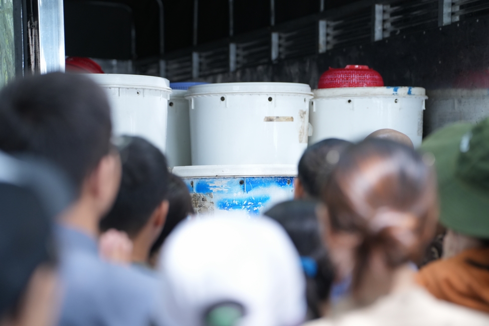 Phóng sinh tại bến phà Bình Mỹ.