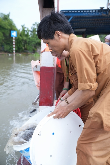 Phóng sinh tại bến phà Bình Mỹ.