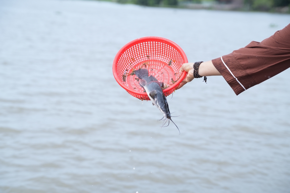Phóng sinh tại bến phà Bình Mỹ.