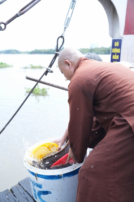 Phóng sinh tại bến phà Bình Mỹ.