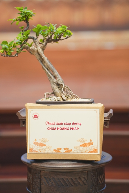 HÀNH HƯƠNG CÚNG DƯỜNG BỐN TRƯỜNG HẠ PL.2570-DL.2026 | CHÙA HOẰNG PHÁP.